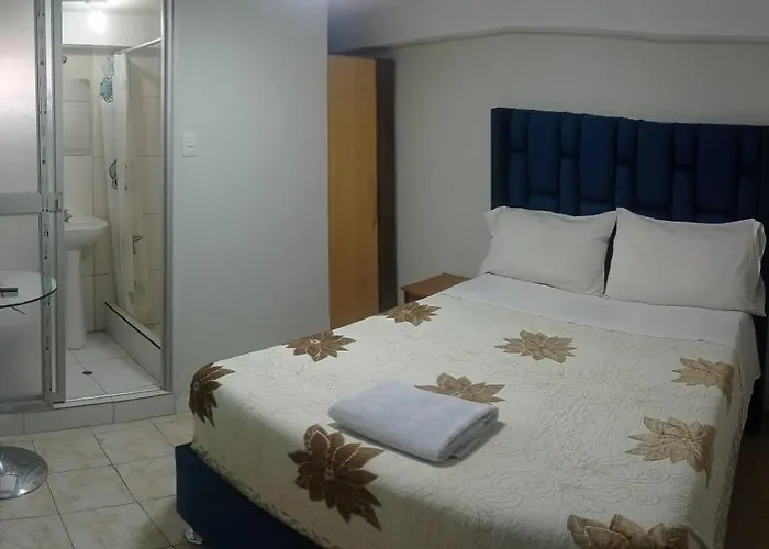 Silva House