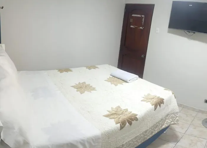 Silva House Hotel *